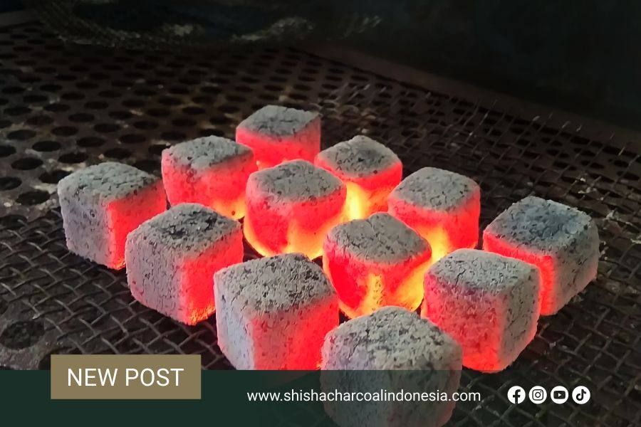 Best Coconut Charcoal Briquette Producer