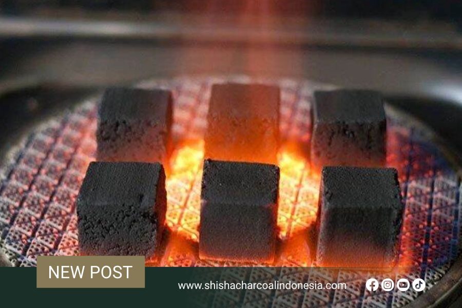 Best Coconut Charcoal for Shisha