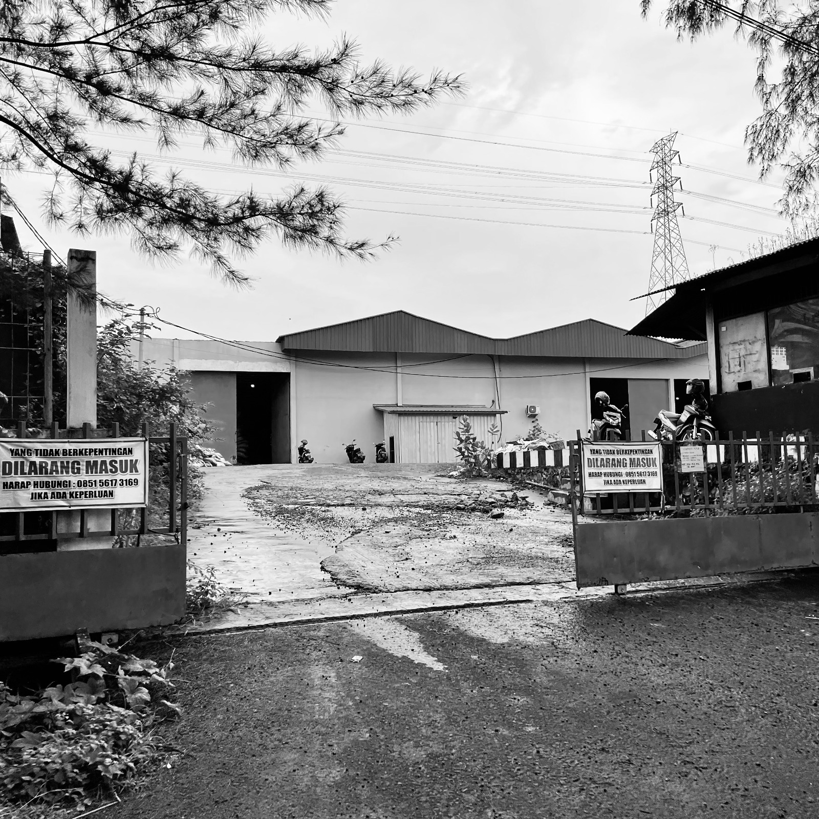 Gallery Shisha Charcoal (9)