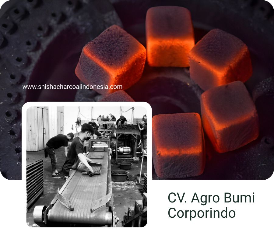 profil Agro Bumi Corporindo1