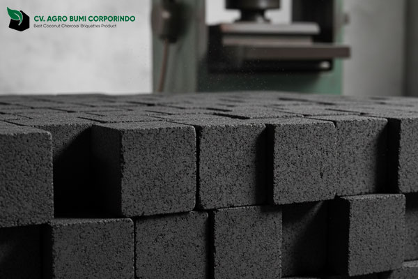 Coconut Charcoal Factory