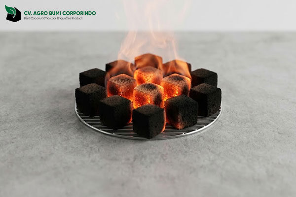 Coconut Charcoal Briquettes Factory